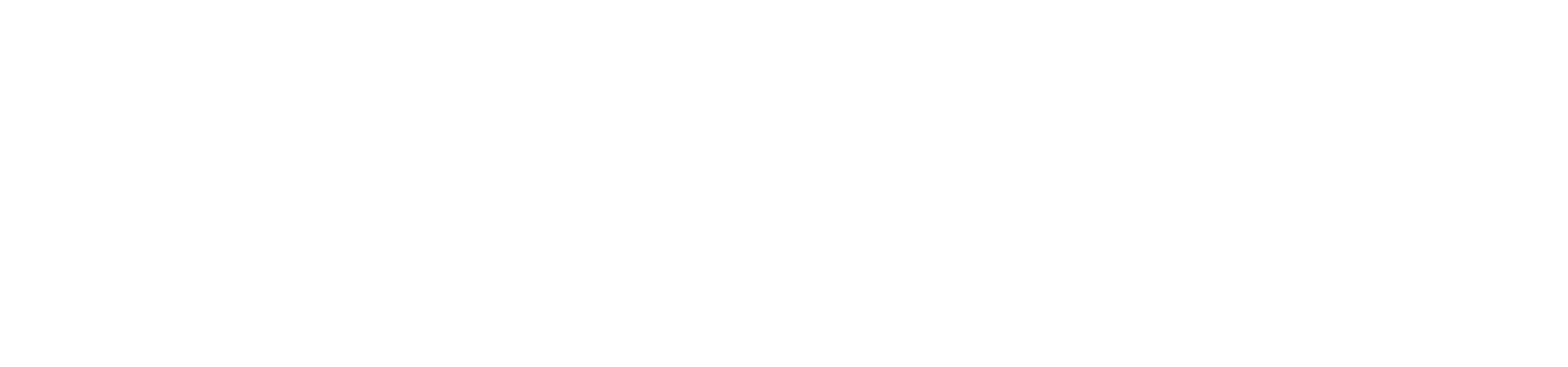 co-logo-access2europe-ecosystem-white